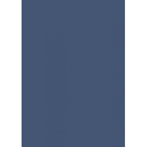 COLOR PLUS A4 120G 50FLS TORONTO