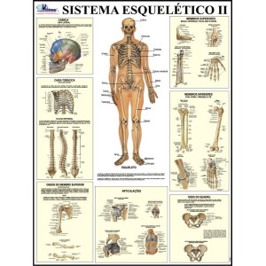 MAPA SISTEMA ESQUELETICO II MULTIMAPAS