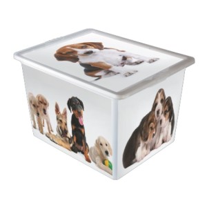 CAIXA ORGANIZADORA PLÁSTICA OR-19L 28L 42x32 CÃES SÃO BERNARDO