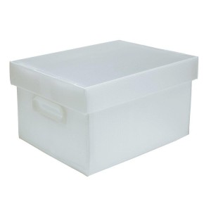 CAIXA ORGANIZADORA EXG CRISTAL POLIBRAS