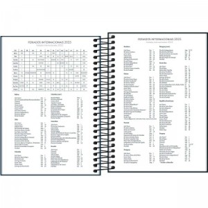 AGENDA 14x20CM SPICE 2025 CORES TILIBRA