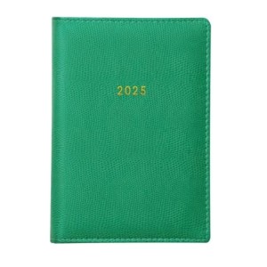 AGENDA BROCHURA 13,5x19,2CM CAPRI STAR COLOR 2025 FORONI