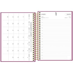 AGENDA 12,9x18,7CM NAPOLI ROSA 2026 TILIBRA