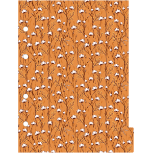 CADERNO 80FLS ARGOLADO COLEGIAL LIBERTY JANDAIA