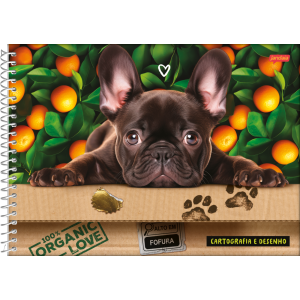 CADERNO 80FLS CARTOGRAFIA E DESENHO CAPA DURA ESPIRAL PETS LOVE JANDAIA